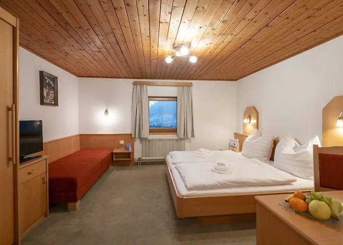 Han/Misafirhane Mamooserhof Hopfgarten im Brixental